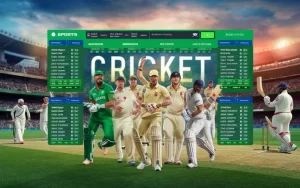 cricket match